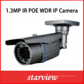 1.3MP CMOS WDR IR wasserdichte Kugel IP CCTV Überwachungskamera